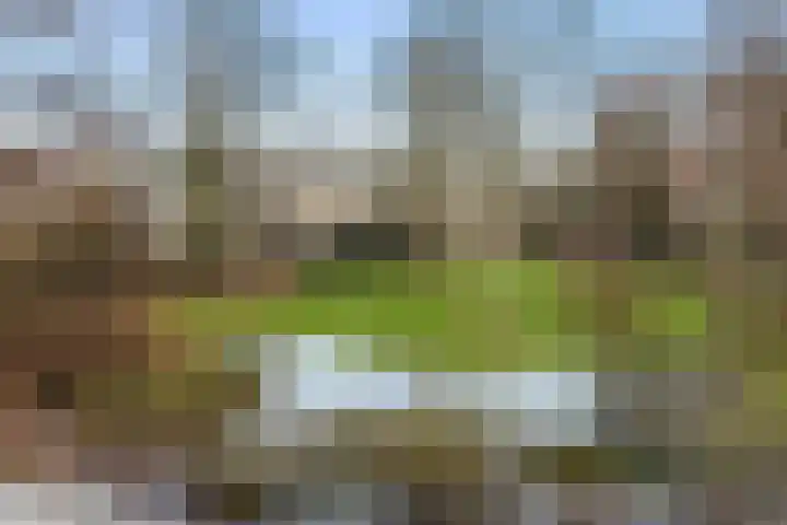 Kieveen 8 Westerbork thumbnail 47