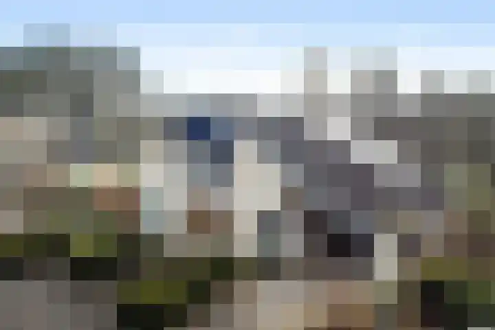 Kieveen 8 Westerbork thumbnail 48