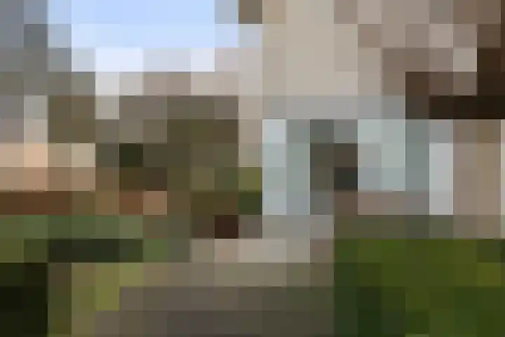 Kieveen 8 Westerbork thumbnail 50