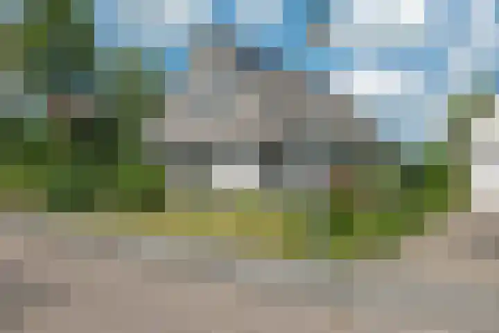 Kieviet 25 Bedum thumbnail 14
