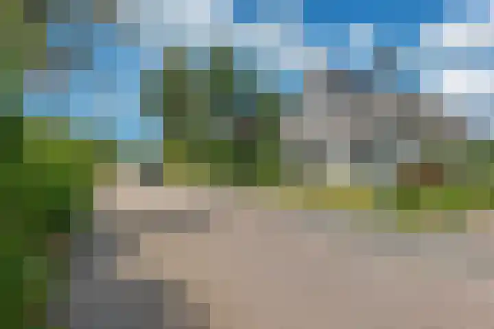 Kieviet 25 Bedum thumbnail 15