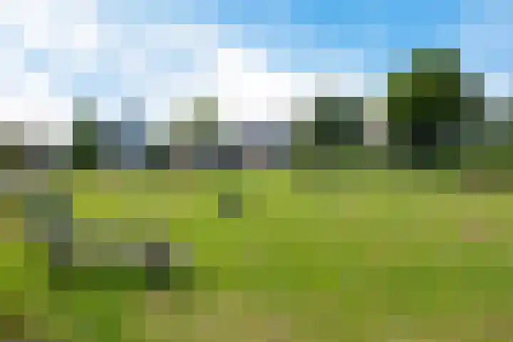 Kieviet 25 Bedum thumbnail 17