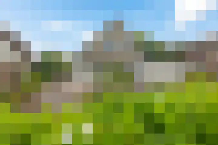 Kieviet 25 Bedum thumbnail 19