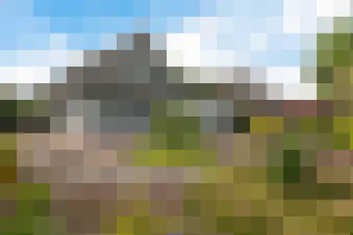 Kieviet 25 Bedum thumbnail 20