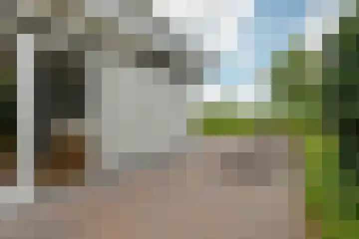 Kieviet 25 Bedum thumbnail 22