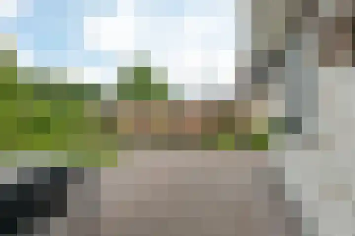 Kieviet 25 Bedum thumbnail 23