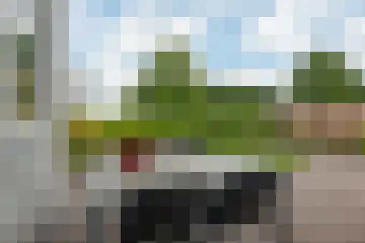 Kieviet 25 Bedum thumbnail 24