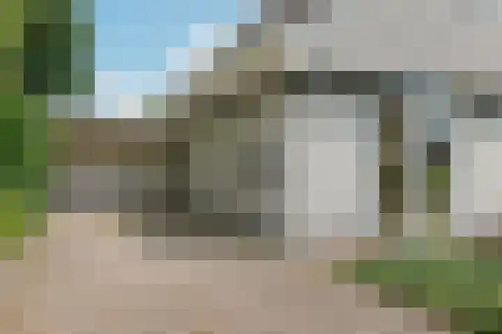 Kieviet 25 Bedum thumbnail 28