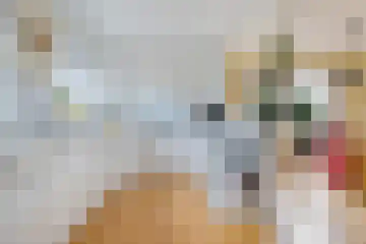 Kieviet 25 Bedum thumbnail 43