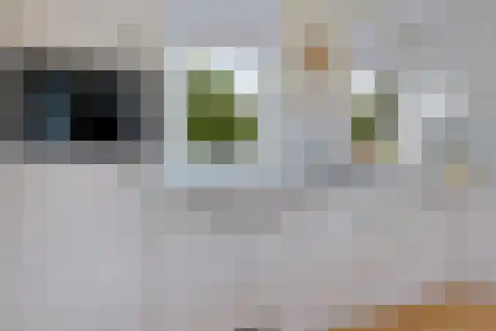Kieviet 25 Bedum thumbnail 44