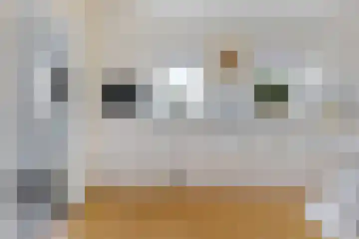 Kieviet 25 Bedum thumbnail 45
