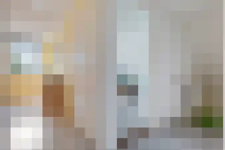 Kieviet 25 Bedum thumbnail 48