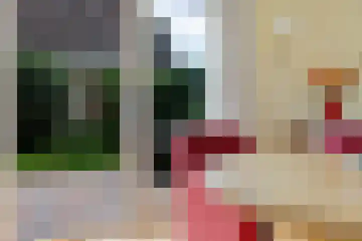 Kieviet 25 Bedum thumbnail 5