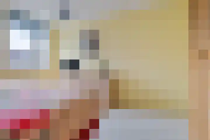Kieviet 25 Bedum thumbnail 51