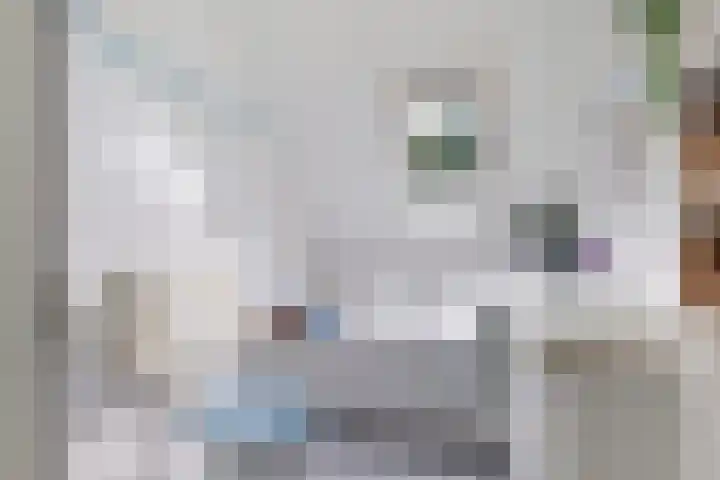 Kieviet 25 Bedum thumbnail 55