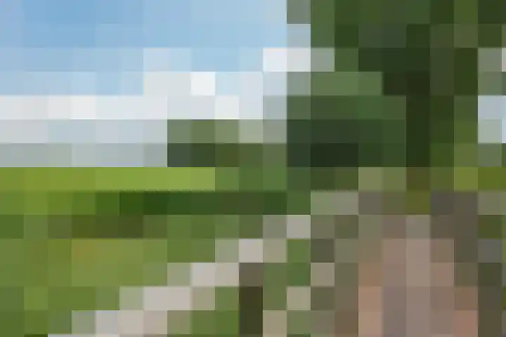 Kieviet 25 Bedum thumbnail 65