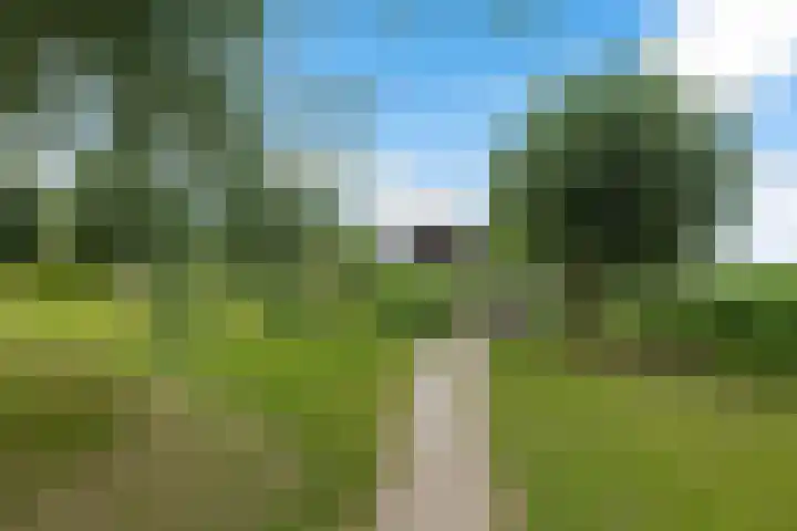 Kieviet 25 Bedum thumbnail 66