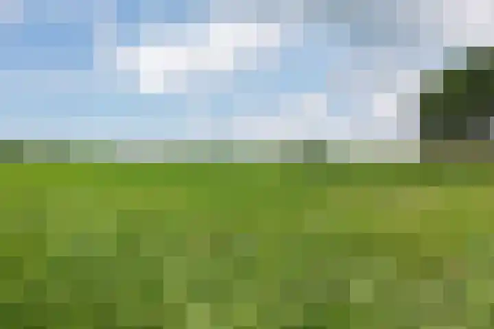 Kieviet 25 Bedum thumbnail 67