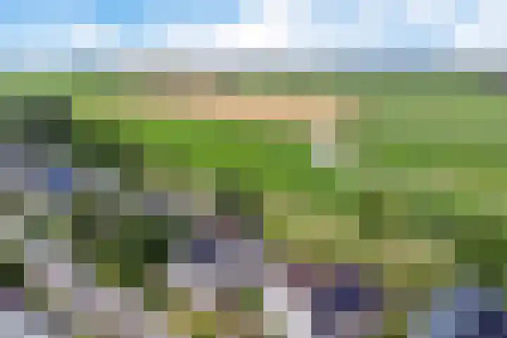 Kieviet 25 Bedum thumbnail 9