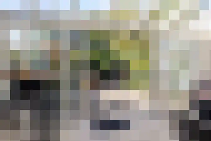 Kievietdonk 14 Veghel thumbnail 15