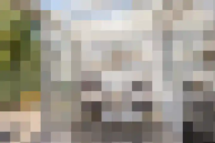 Kievietdonk 14 Veghel thumbnail 16