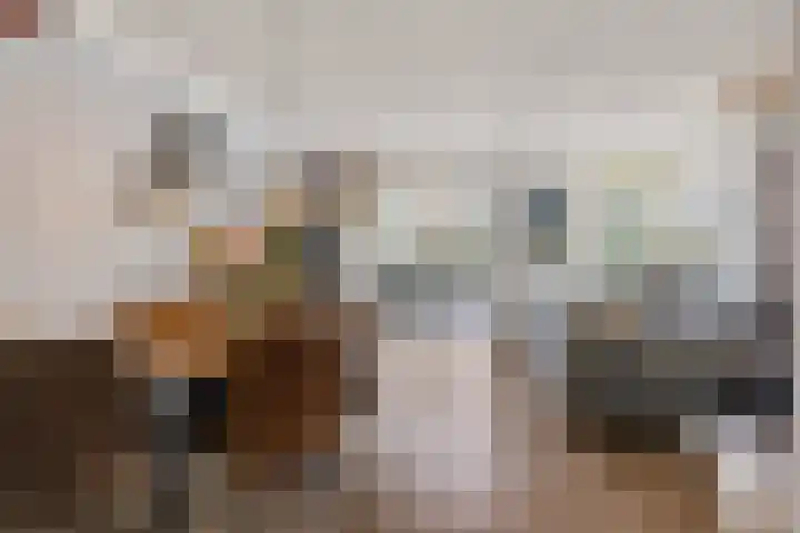 Kievietdonk 14 Veghel foto 2