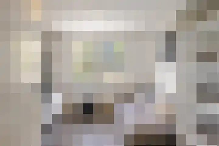 Kievietdonk 14 Veghel thumbnail 20