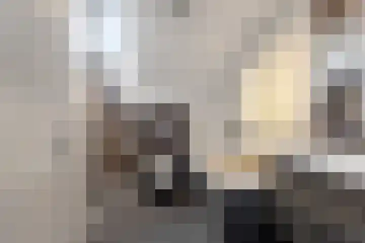 Kievietdonk 14 Veghel thumbnail 24