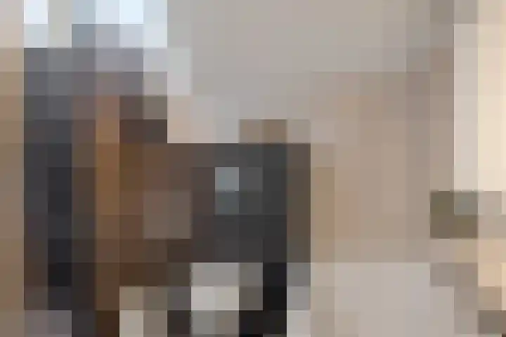 Kievietdonk 14 Veghel thumbnail 25
