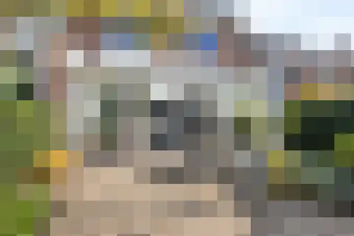 Kievietdonk 14 Veghel thumbnail 35