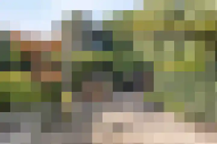 Kievietdonk 14 Veghel thumbnail 36