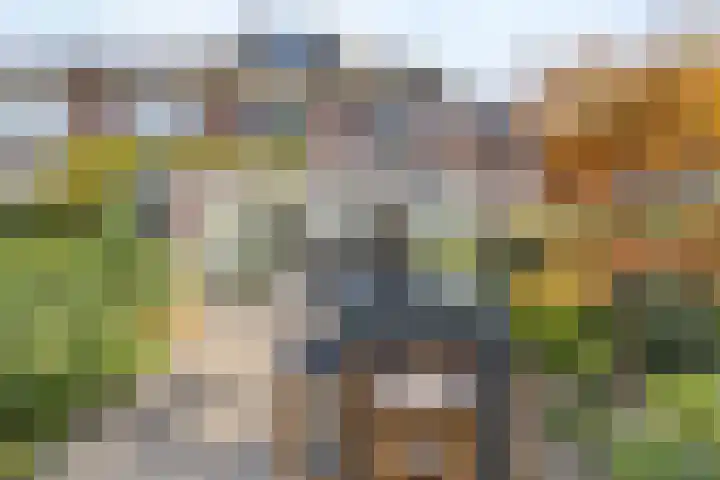 Kievietdonk 14 Veghel thumbnail 38