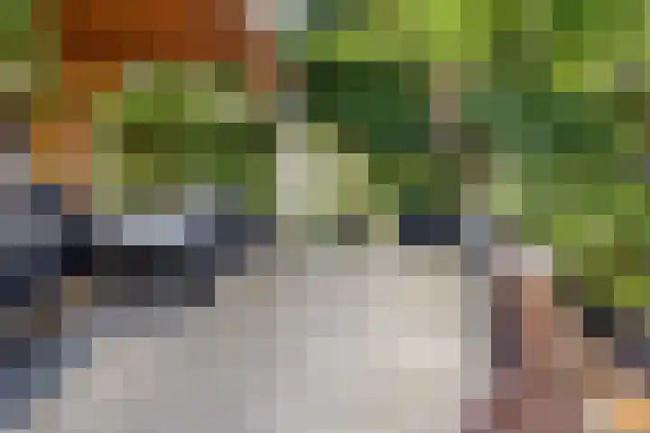 Kievietdonk 14 Veghel thumbnail 39