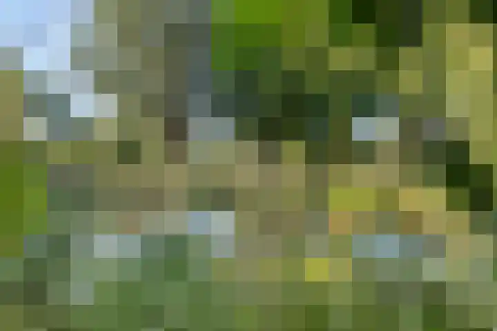 Kievietdonk 14 Veghel thumbnail 41