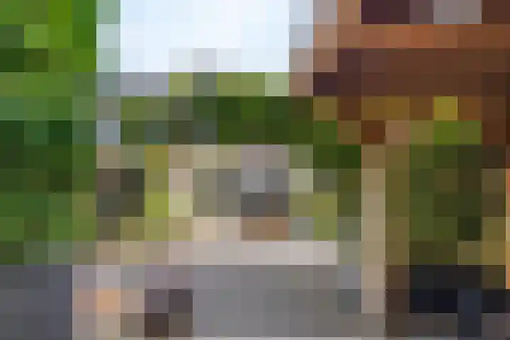 Kievietdonk 14 Veghel thumbnail 42