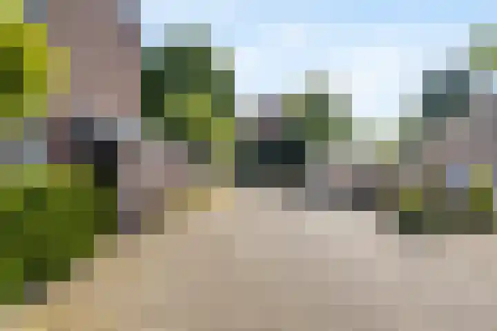 Kievietdonk 14 Veghel thumbnail 44
