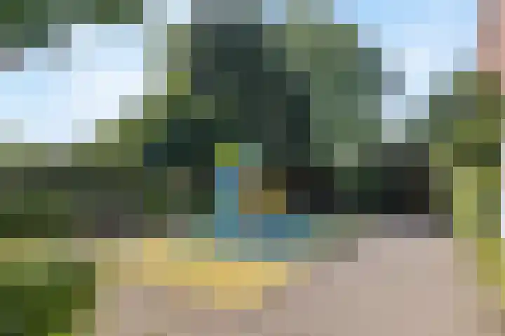 Kievietdonk 14 Veghel thumbnail 45