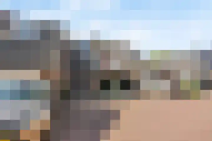 Kievietdonk 14 Veghel thumbnail 5