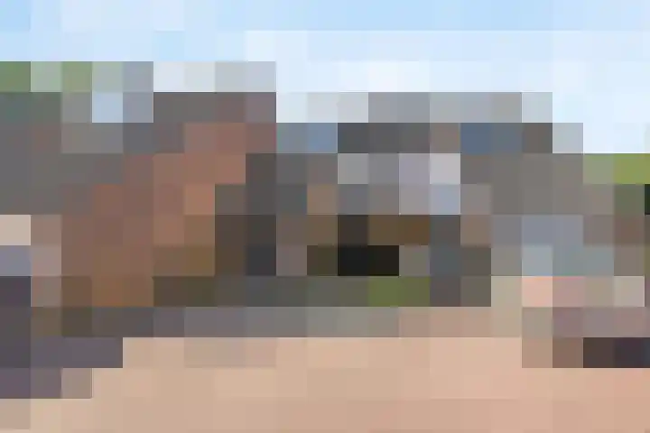 Kievietdonk 14 Veghel thumbnail 50