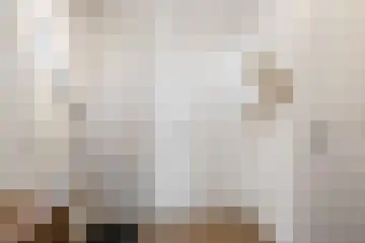 Kievietdonk 14 Veghel thumbnail 6