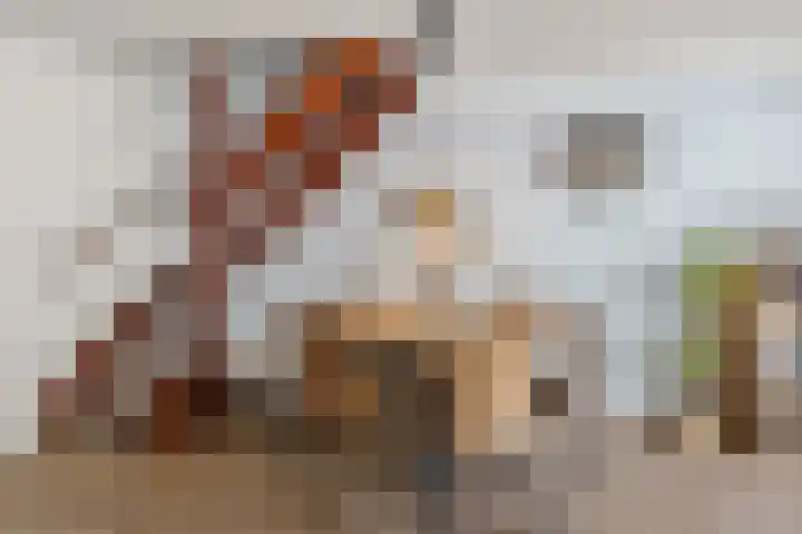 Kievietdonk 14 Veghel thumbnail 8