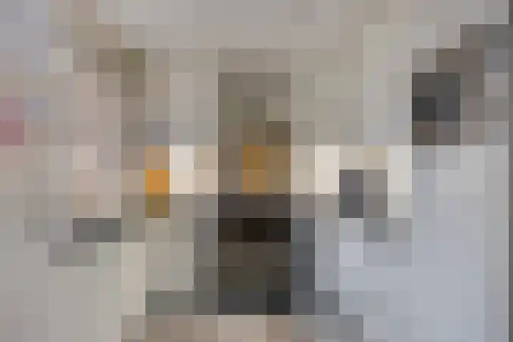 Kievietdonk 28 Veghel thumbnail 12