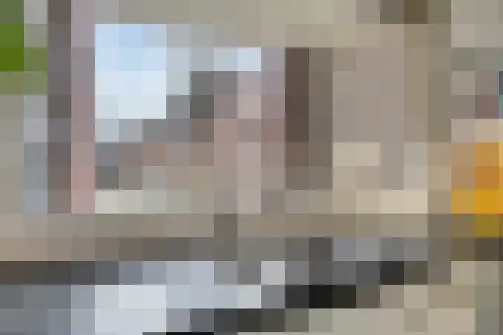 Kievietdonk 28 Veghel thumbnail 14
