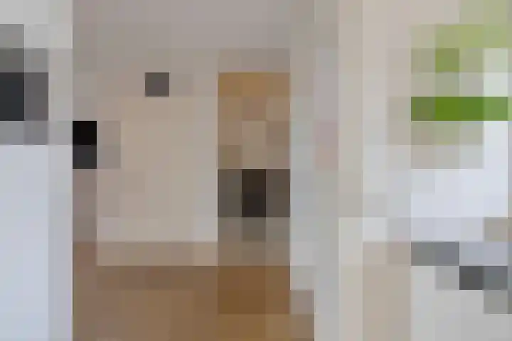 Kievietdonk 28 Veghel thumbnail 15