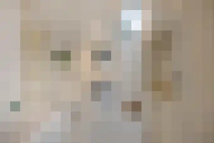 Kievietdonk 28 Veghel thumbnail 17