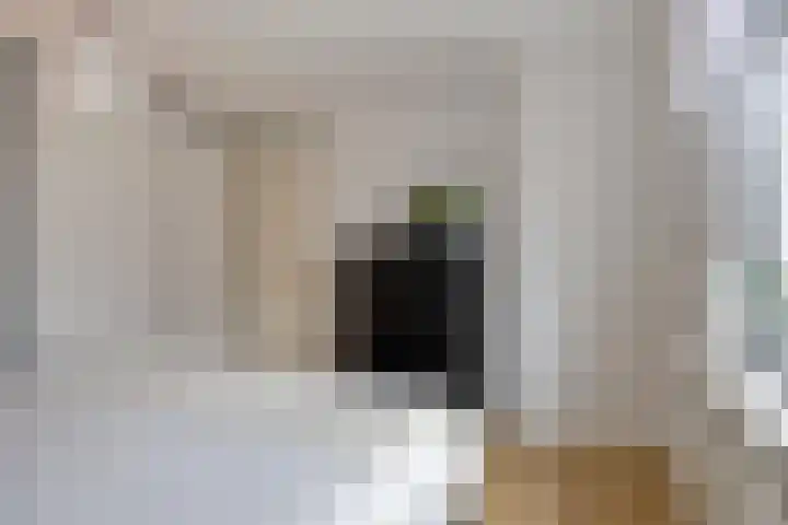 Kievietdonk 28 Veghel thumbnail 20