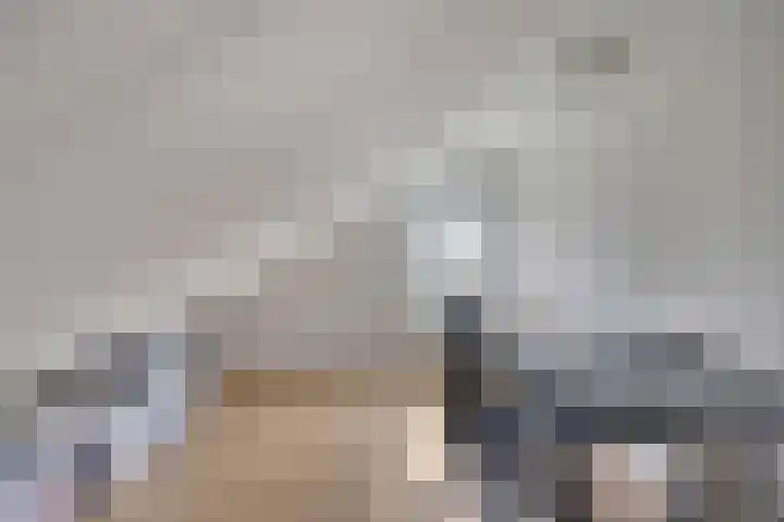 Kievietdonk 28 Veghel thumbnail 27