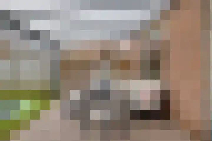 Kievietdonk 28 Veghel thumbnail 31