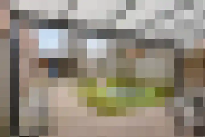 Kievietdonk 28 Veghel thumbnail 32