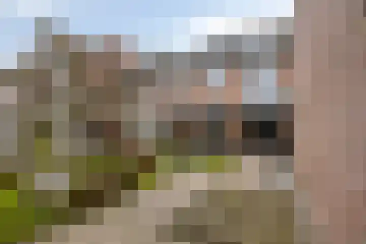 Kievietdonk 28 Veghel thumbnail 35